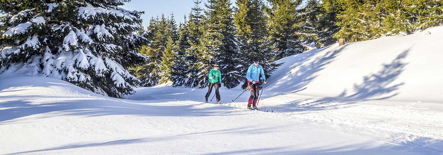 Pista di sci di fondo Dobbiaco - Cortina