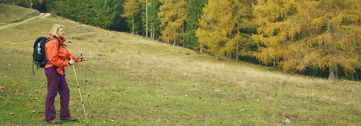 Sentiero dei larici a San Cassiano