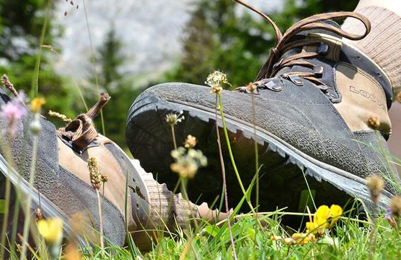 Sentiero delle malghe di Selva dei Molini