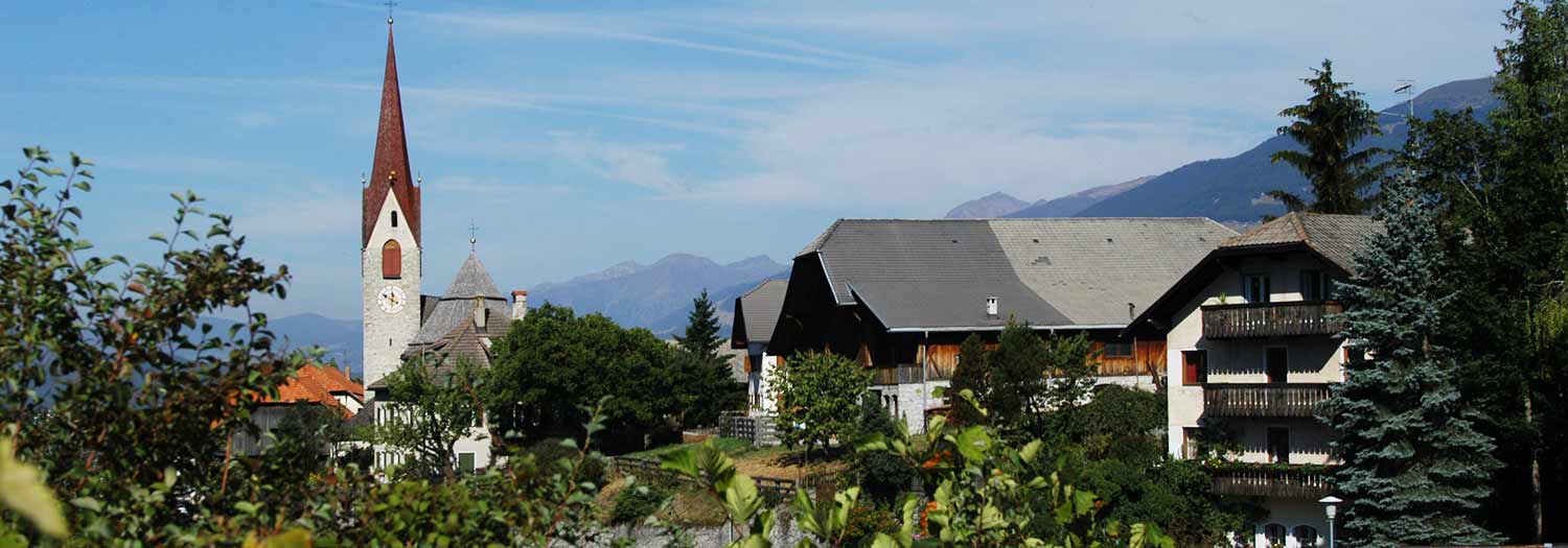 Perca nelle Dolomiti