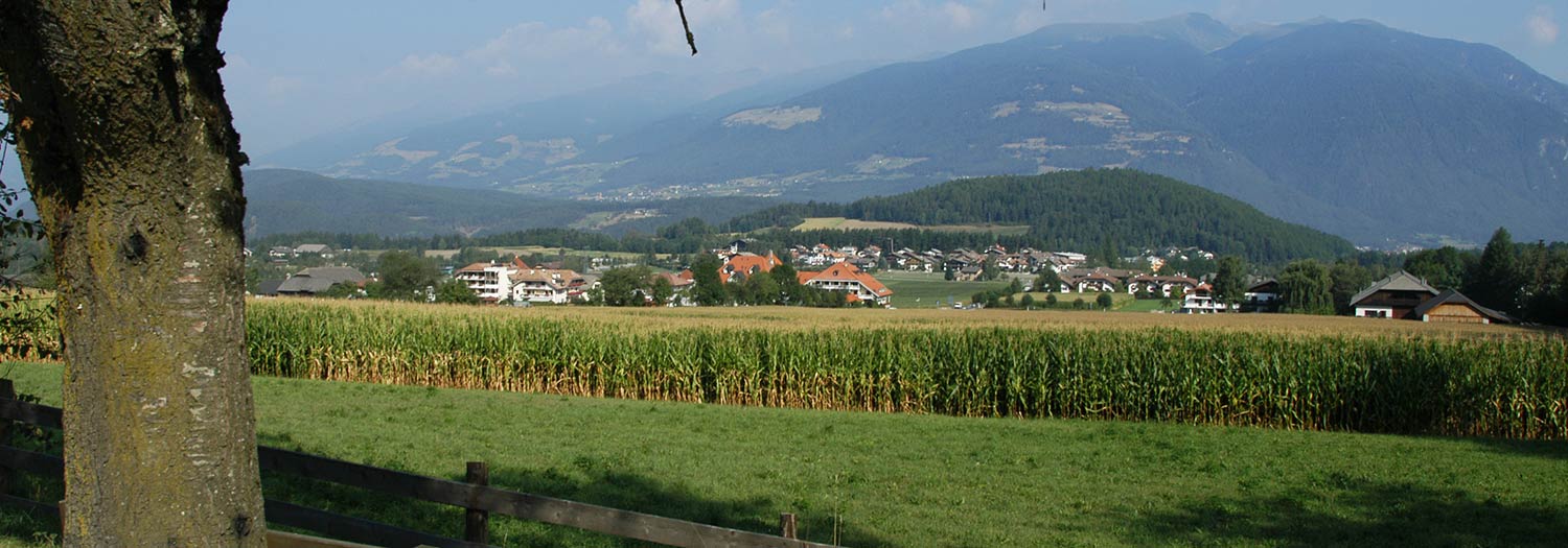 Riscone nelle Dolomiti