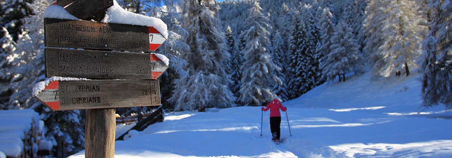 Tires al Catinaccio nelle Dolomiti